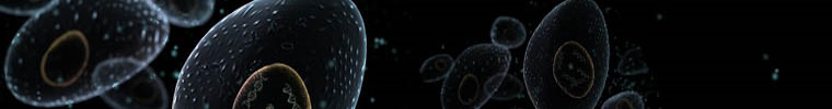 Partners Image